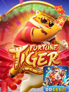 dd555.com participe de profissional jogo